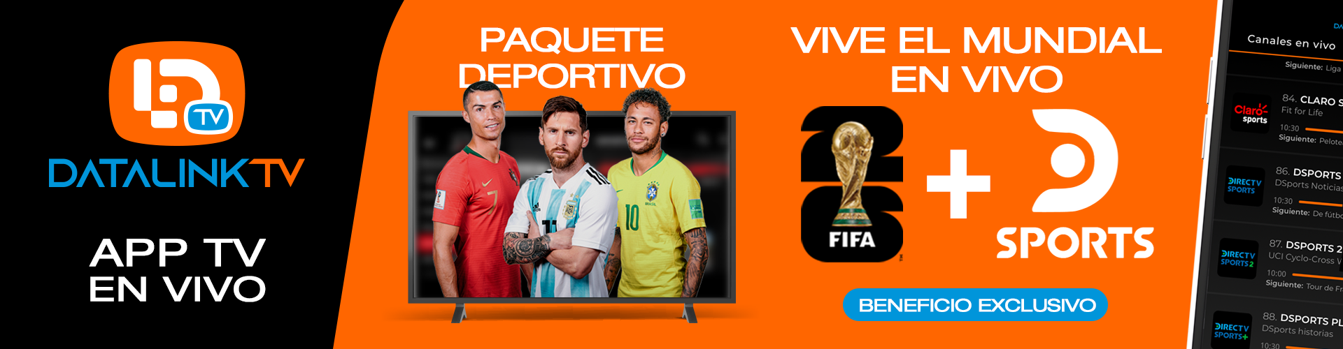 DATALINK-TV-BANNER-2
