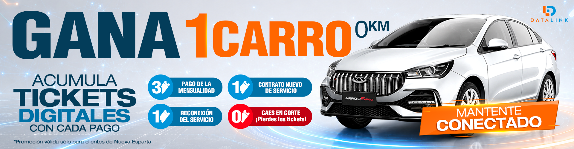 BANNER-CARRO
